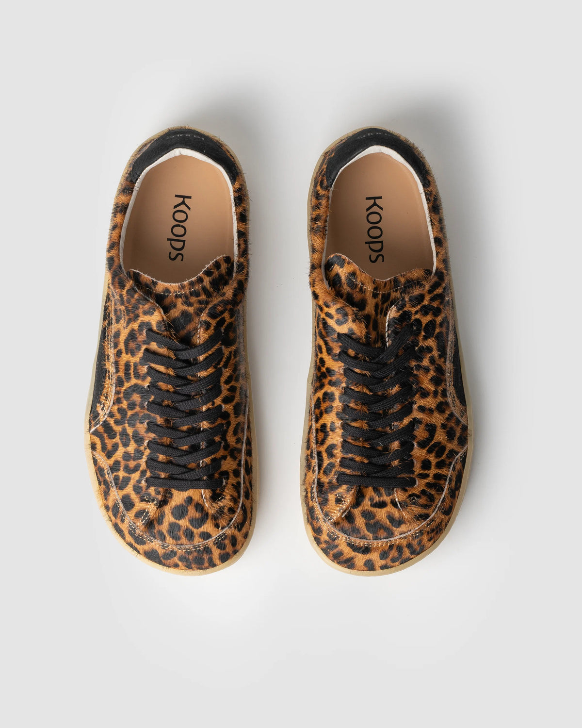 Koops KAI Leopard