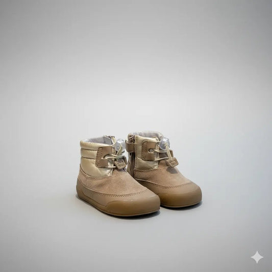 Lion Arena - Sapiens