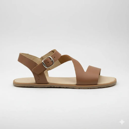 5815 - PR Marró - Sapiens