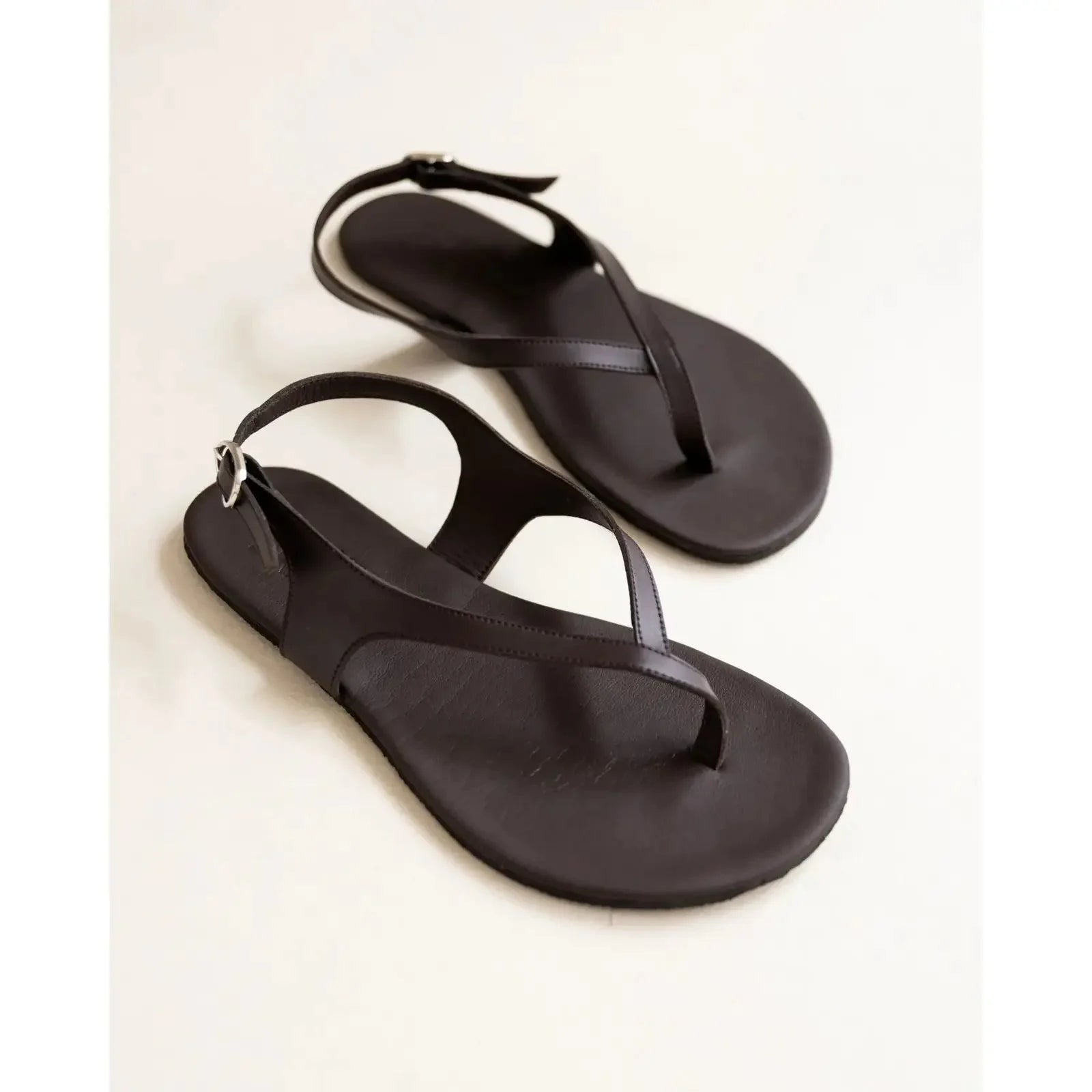 Clotsy Brand Alba