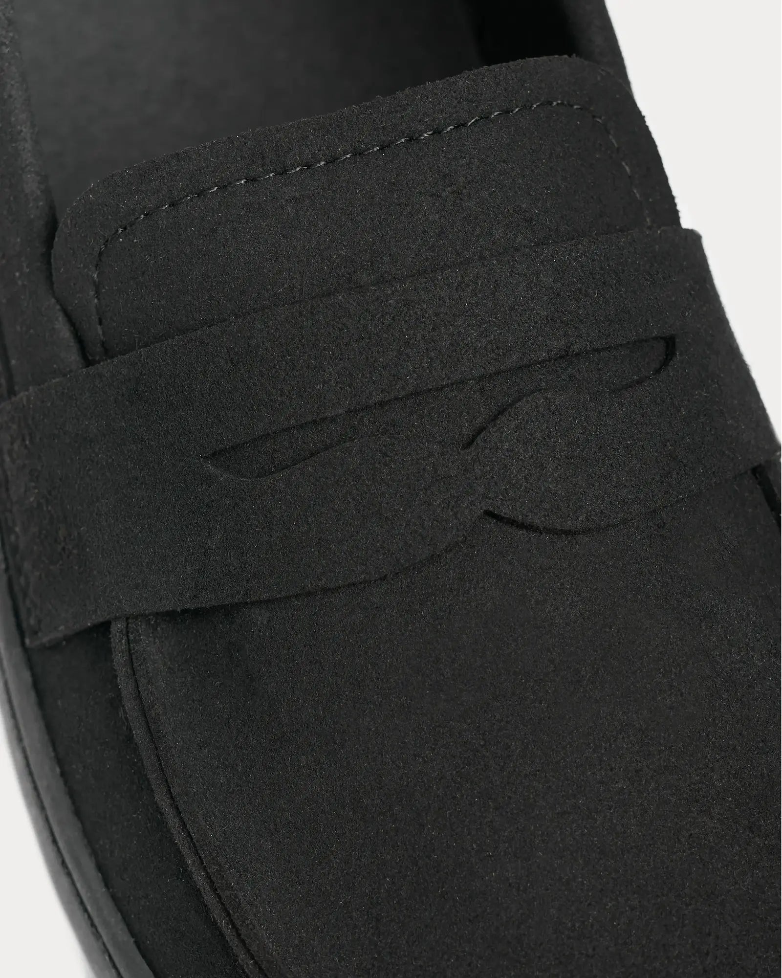 Avignon Black - Sapiens