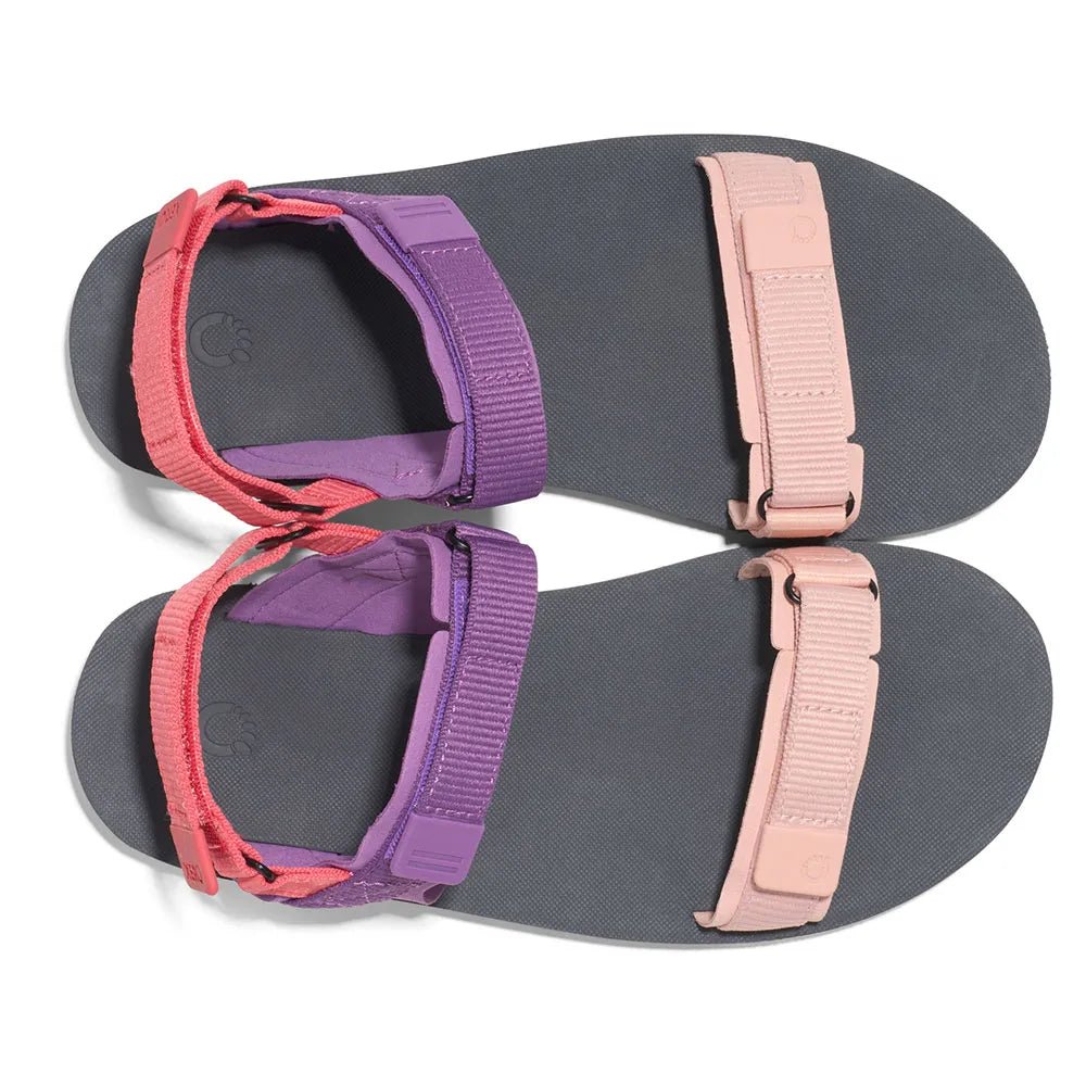 D - TRAIL W - Sapiens