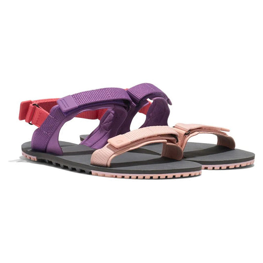 D - TRAIL W - Sapiens