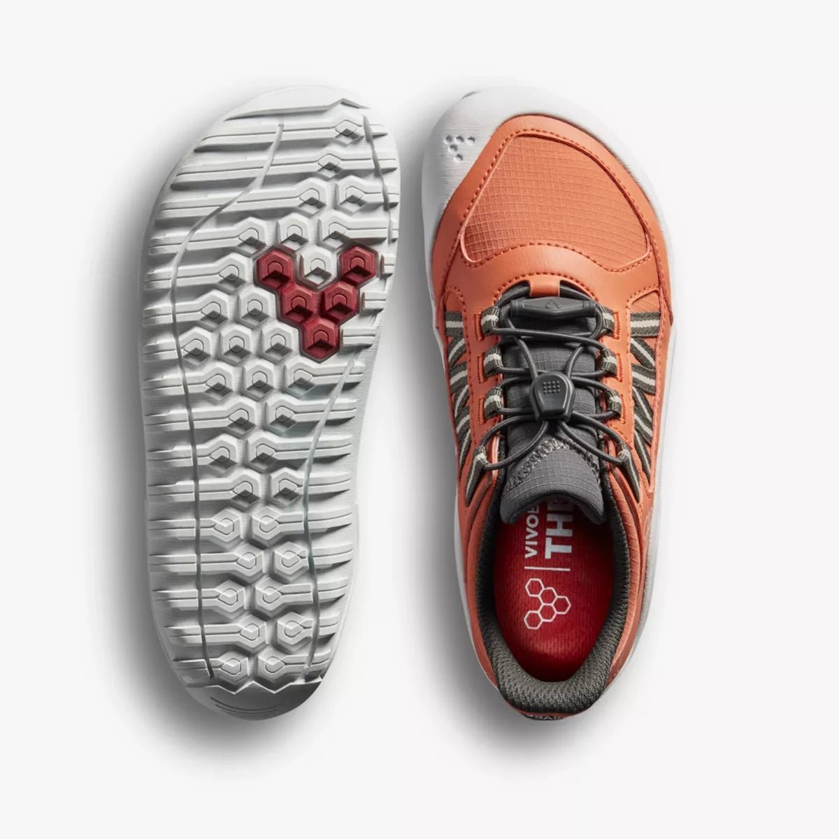 Explore AT Junior - Sapiens