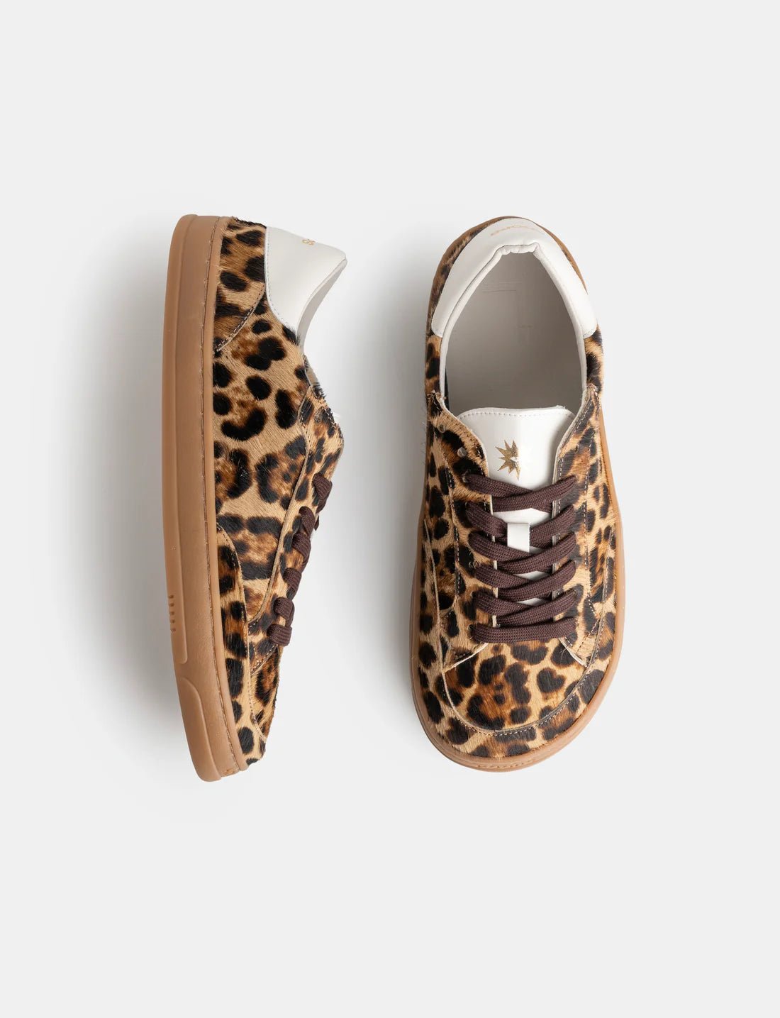Venan Leopardo - Sapiens