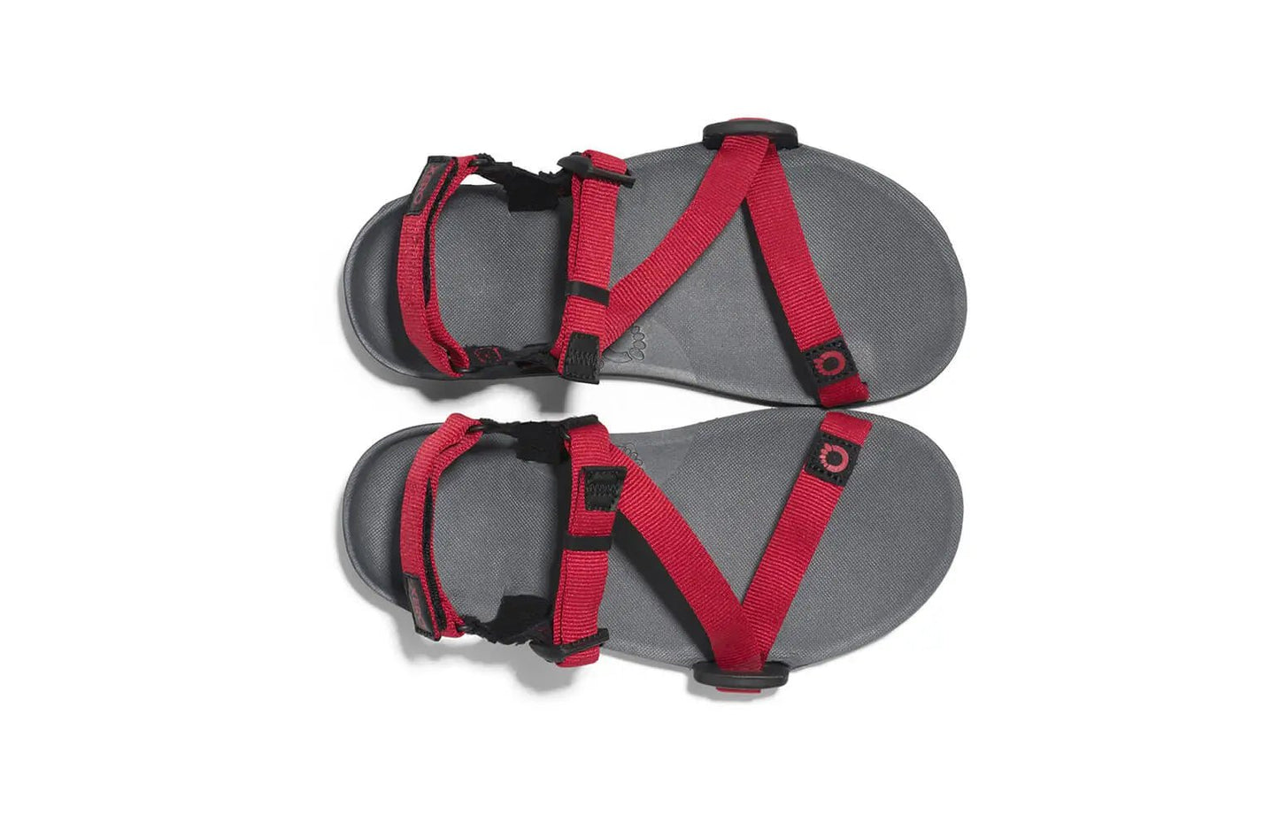 Z - TRAIL Youth - Sapiens