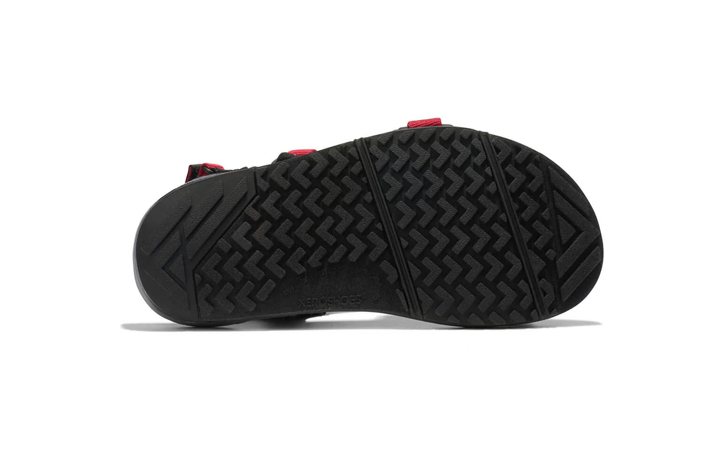 Z - TRAIL Youth - Sapiens